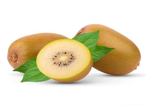 تصویر 4 از فروش کیوی هایوارد طلایی + قیمت خرید به صرفه